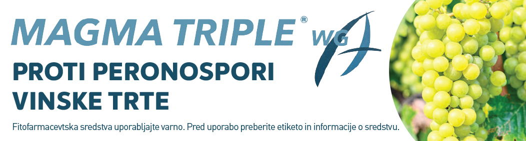 Pasica_Magma_Triple_90x24-brez_naslova