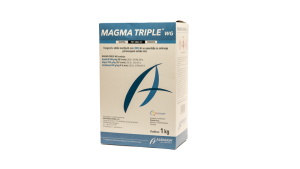Magma-1Kg16x9