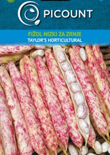 Fižol-nizki-za-zrnje-Taylors-Horticultural