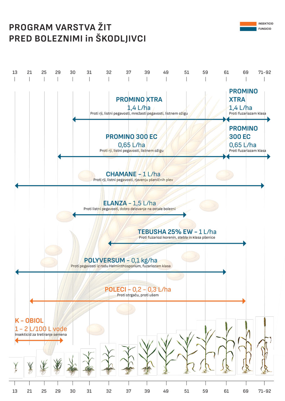 Program-varstva-žit-2026